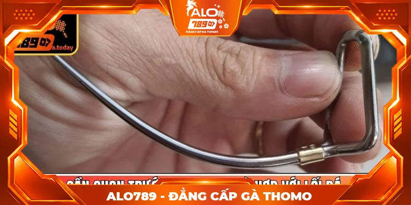 Cần chọn trước loại cựa phù hợp với lối đá
