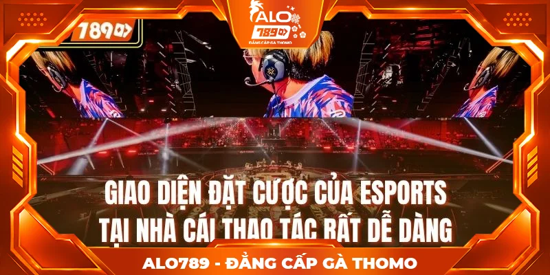 Giao diện đặt cược của Esports tại nhà cái thao tác rất dễ dàng Giao diện đặt cược của Esports tại nhà cái thao tác rất dễ dàng