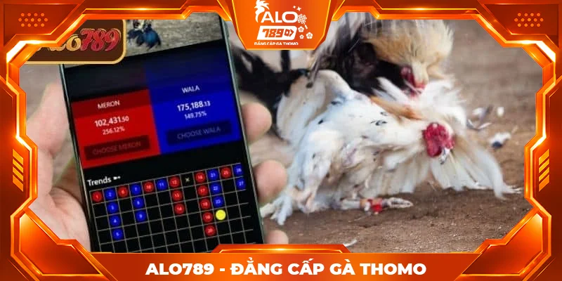 Mẹo tận dụng stream 4K đá gà ALO789 hiệu quả Mẹo tận dụng stream 4K đá gà ALO789 hiệu quả