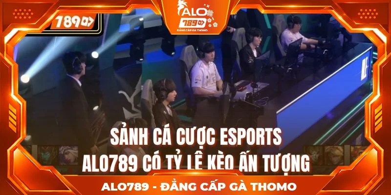 Sảnh cá cược Esports ALO789 có tỷ lệ kèo ấn tượng Sảnh cá cược Esports ALO789 có tỷ lệ kèo ấn tượng